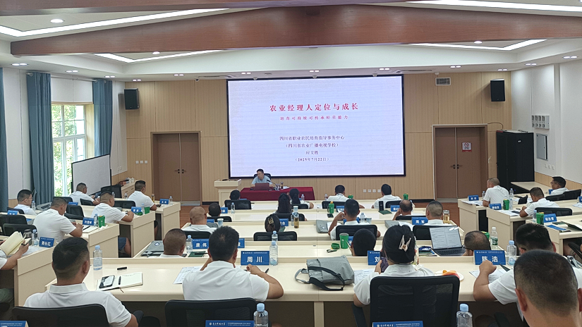 电子科技大学培训