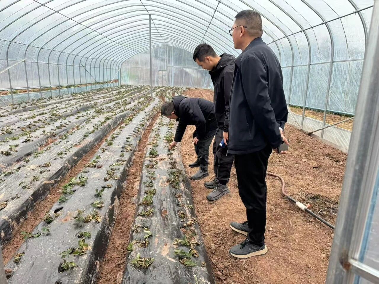 电子科技大学干部培训中心